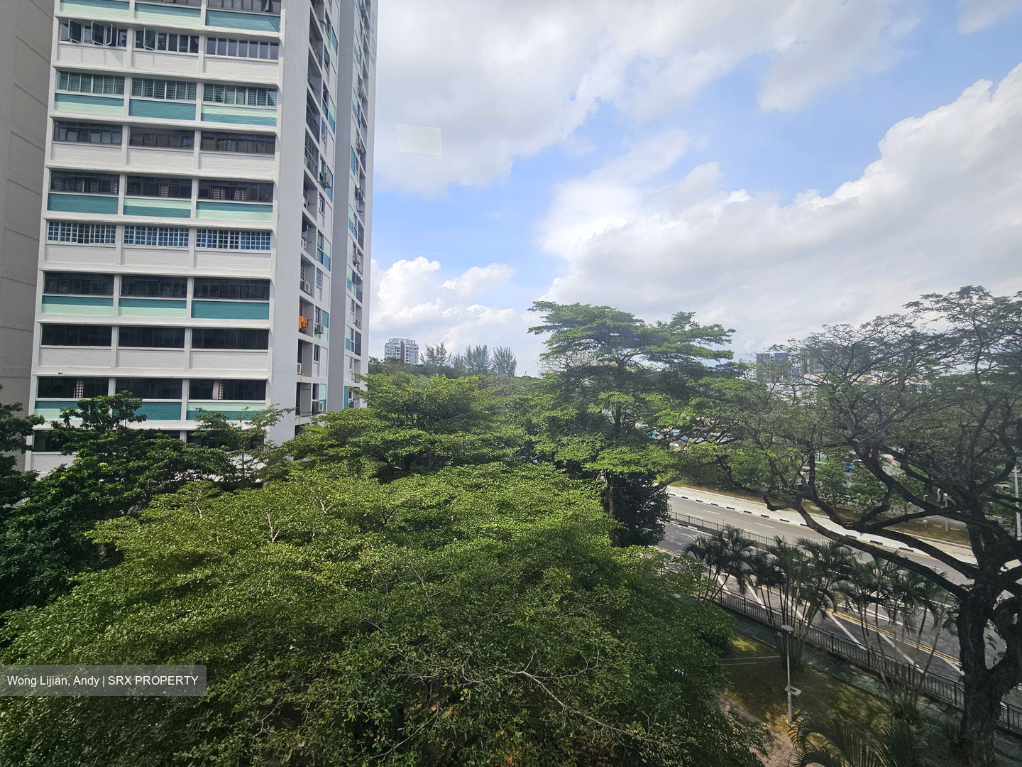 Blk 55 Geylang Bahru Riverpoint (Kallang/Whampoa), HDB 5 Rooms #544475061
